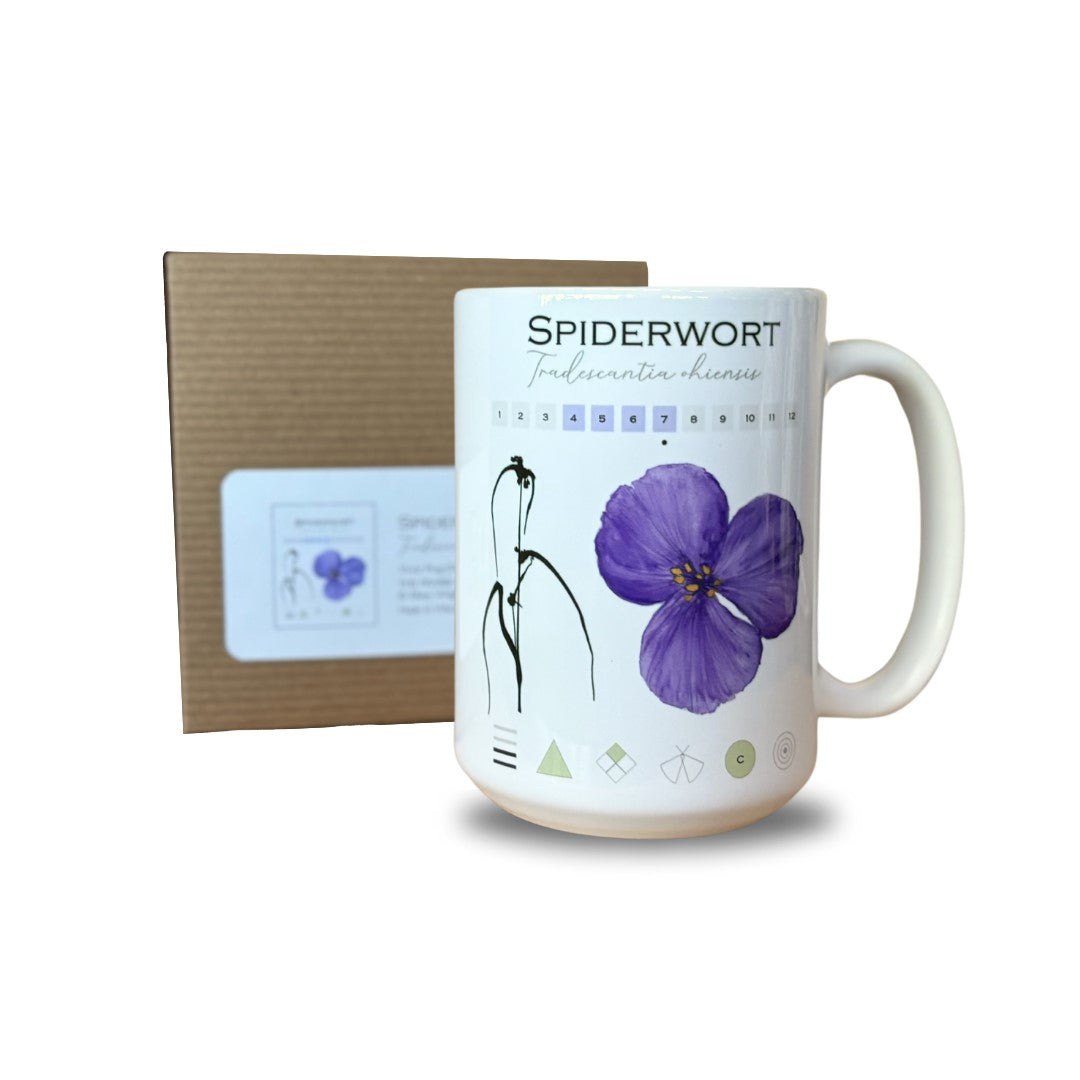 Coffee Mug - Spiderwort