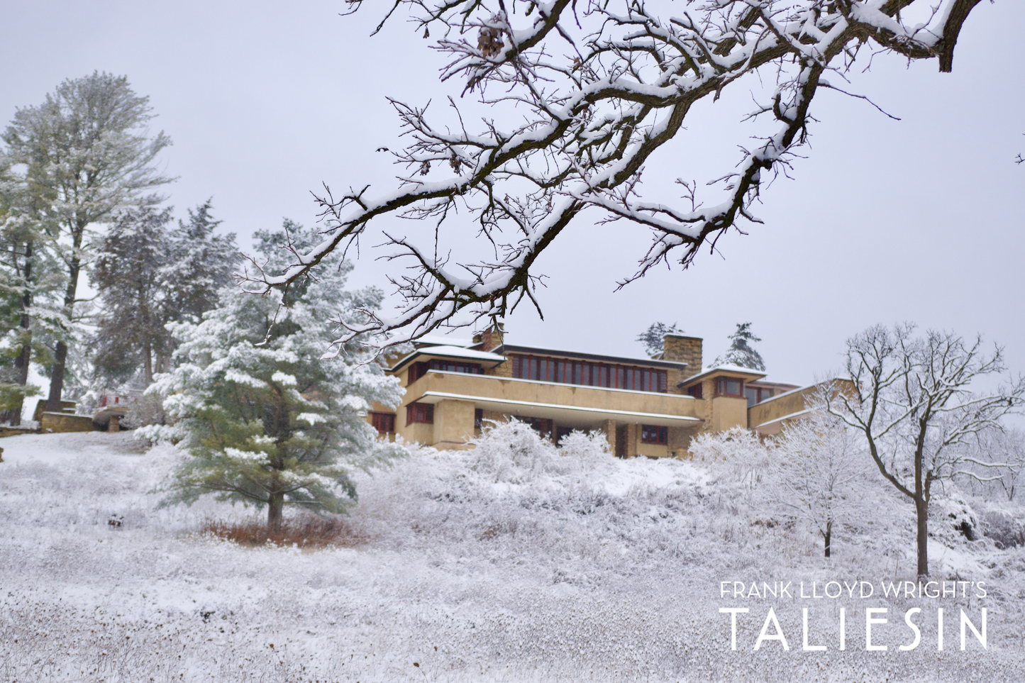 Post Cards - Taliesin