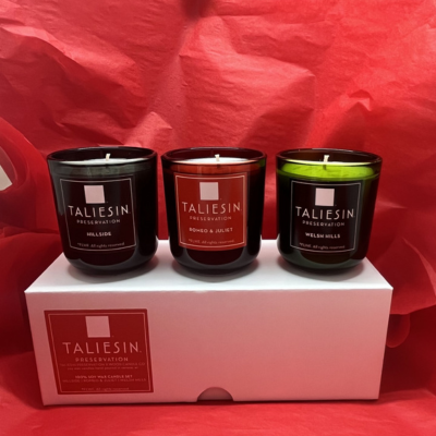 Candles - Signature Trio Set