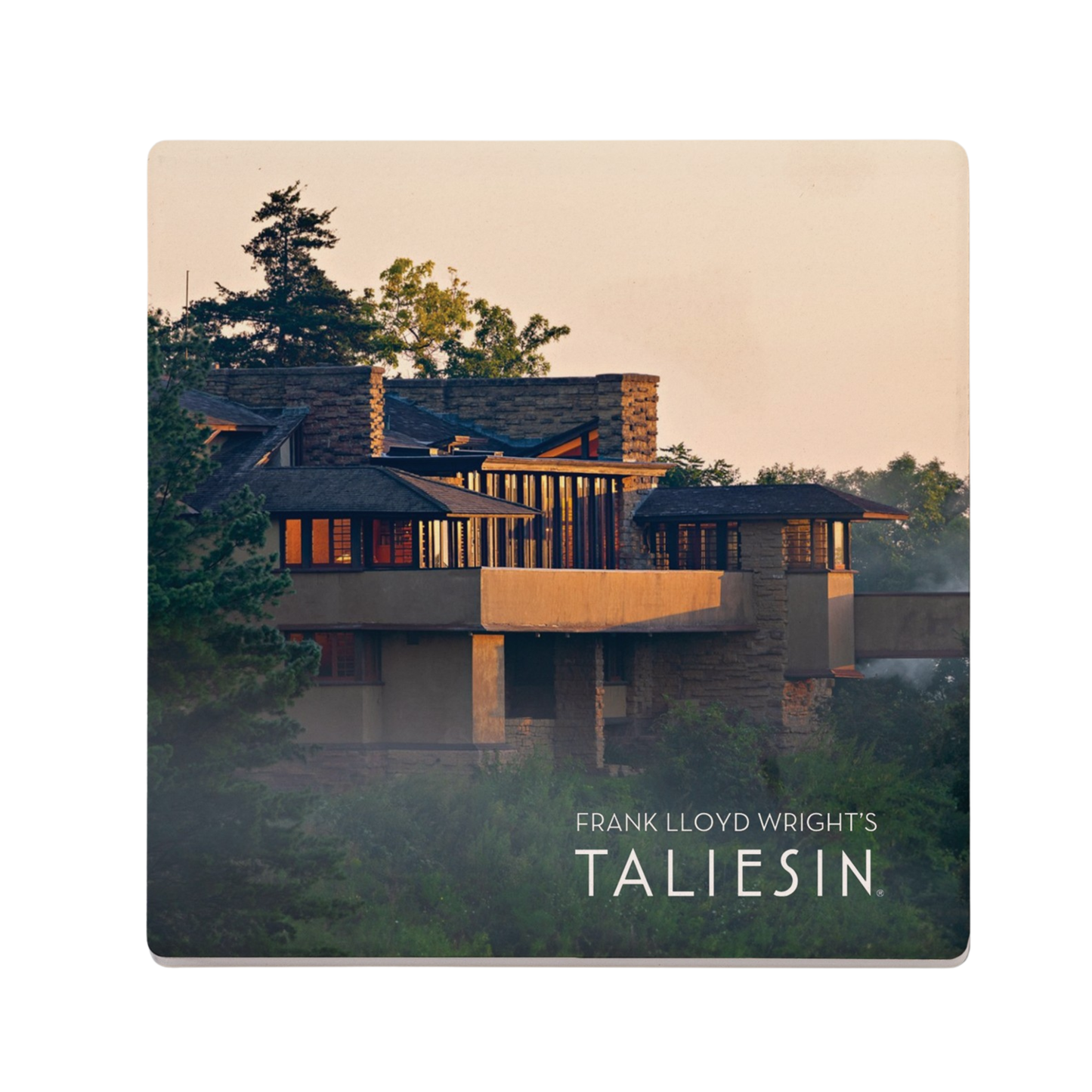 Coaster - Taliesin at Dawn - Single