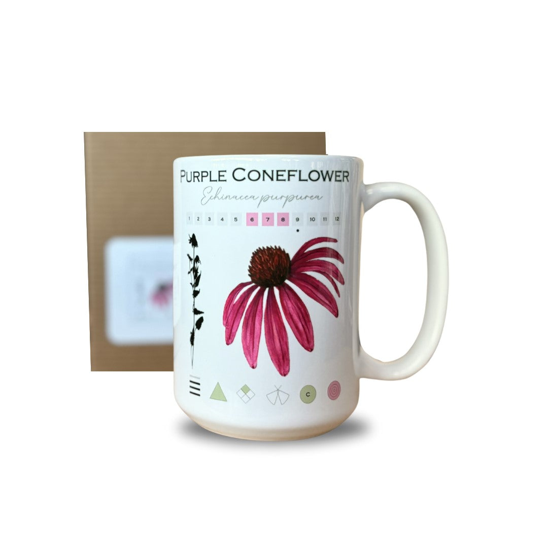 Coffee Mug - Purple Coneflower