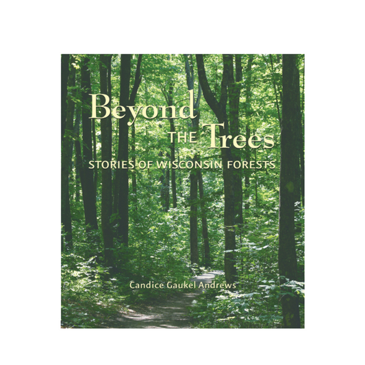 Beyond the Trees: Stories of WI Forests