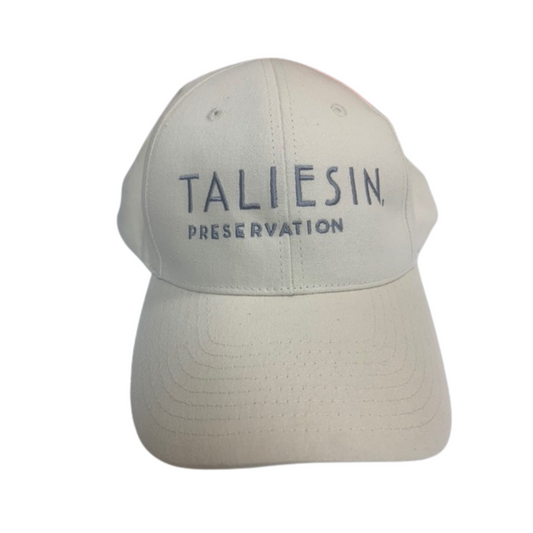 Cap - Taliesin Tan Baseball