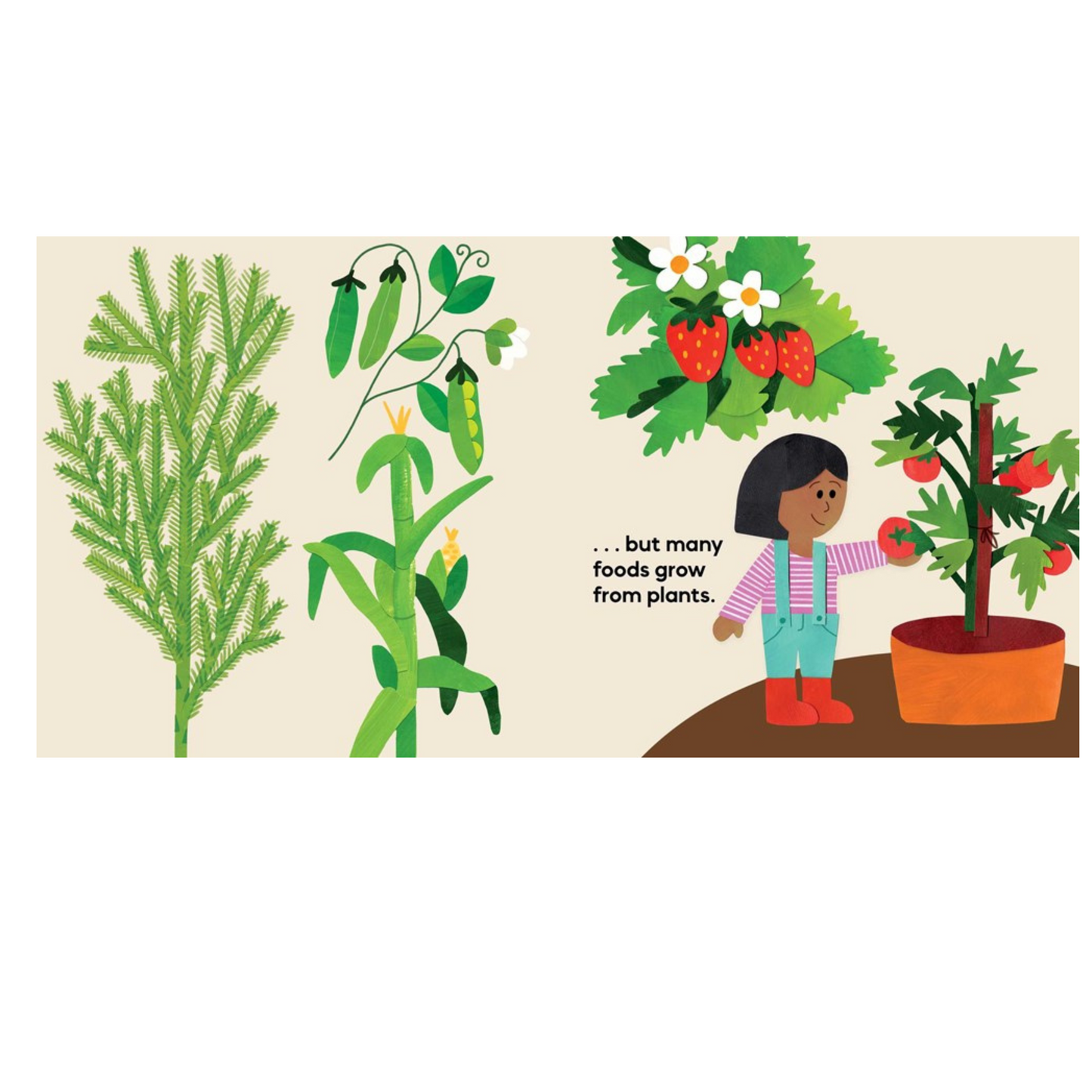 Our Food Grows