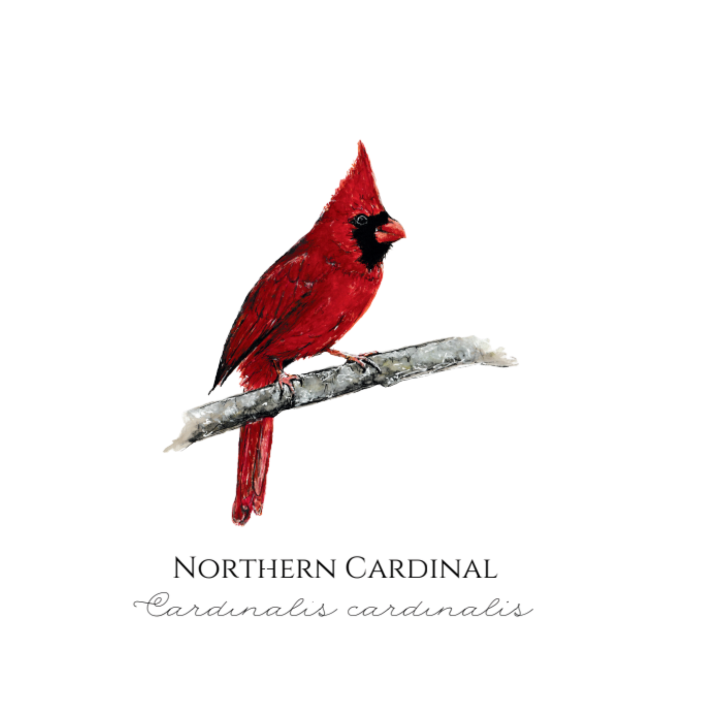 Note Cards - By Rebecca Hagen