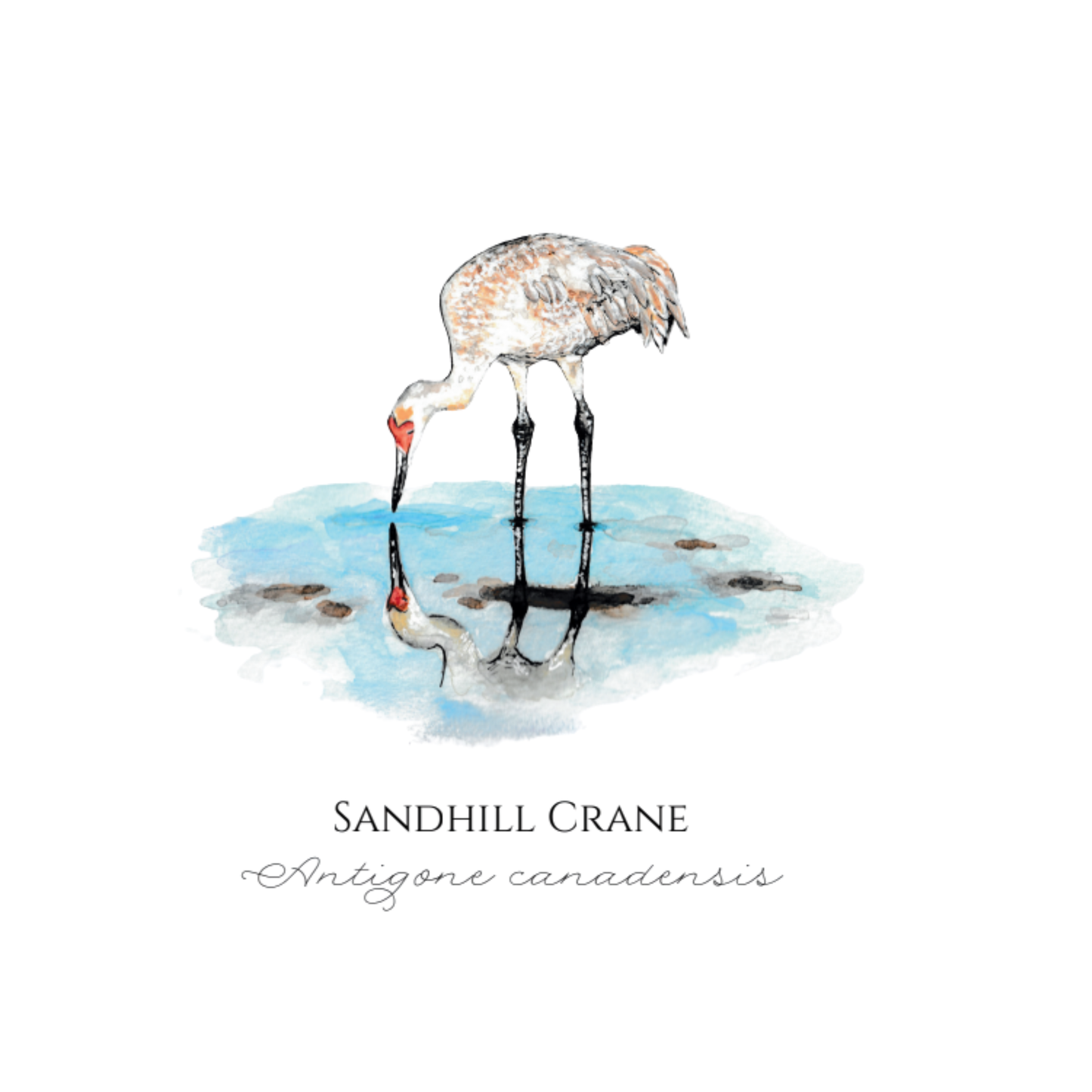 Note Cards - By Rebecca Hagen