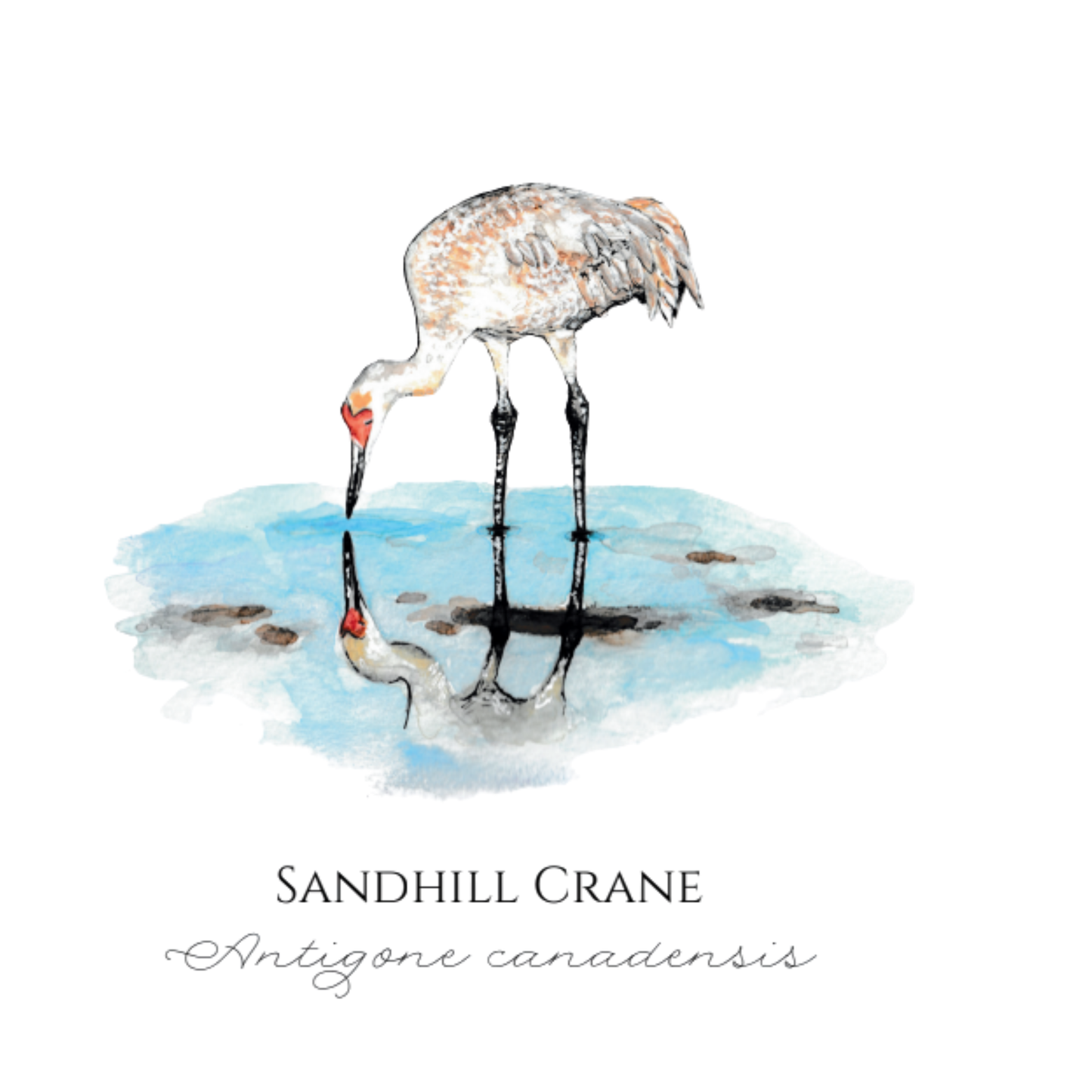 Note Cards - By Rebecca Hagen